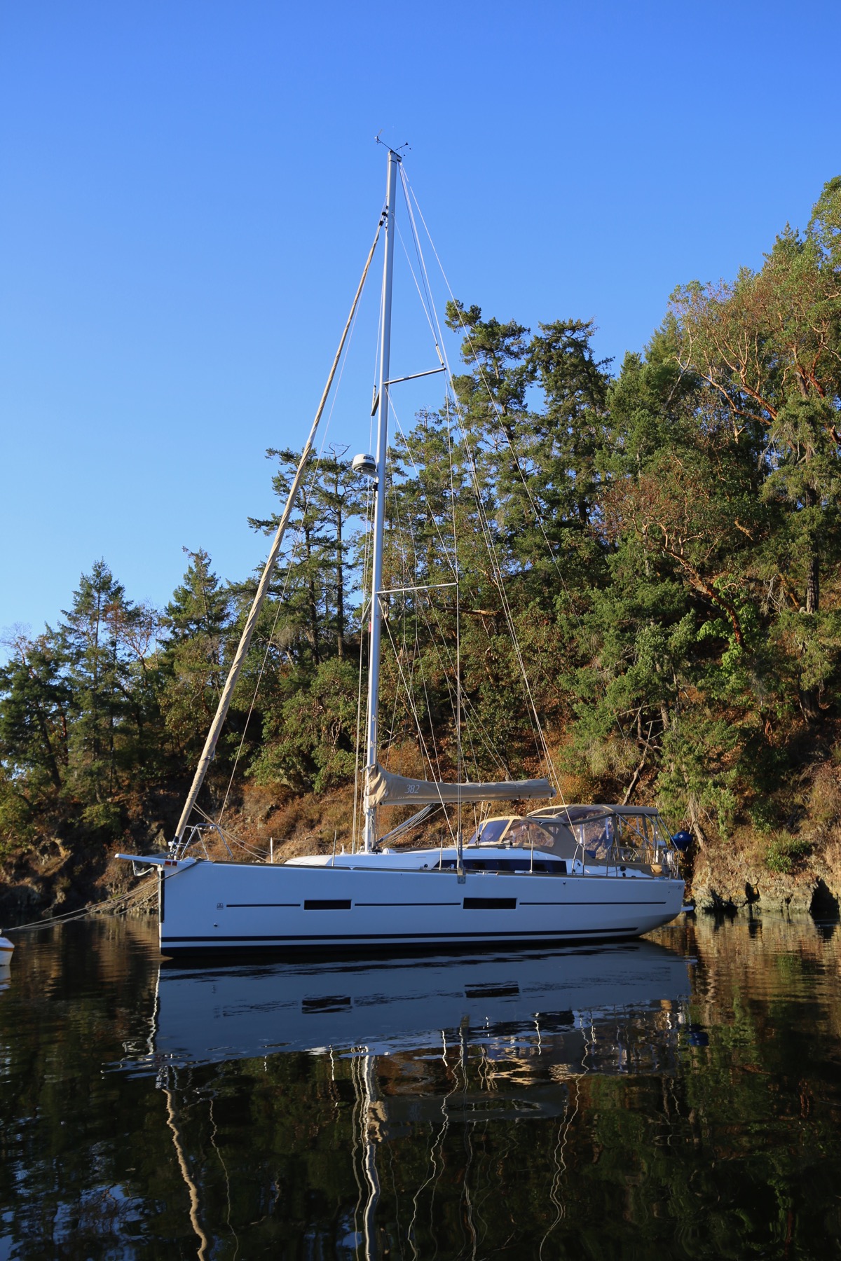 A sailboat at rest in calm water near a wooded shore.